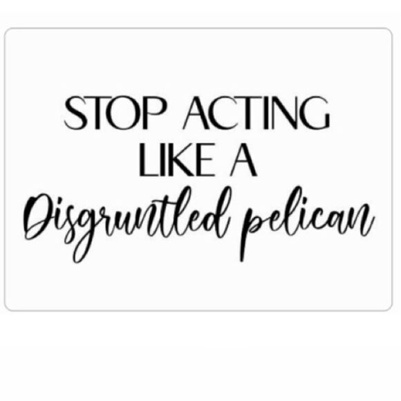 Schitt’s Creek “Stop Acting Like a Disgruntled Pelican” magnet - Picture 2 of 2